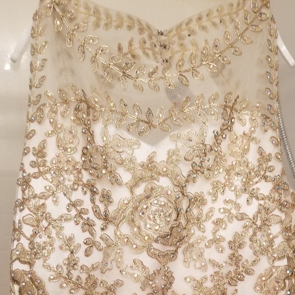 Cinderella Couture Dress